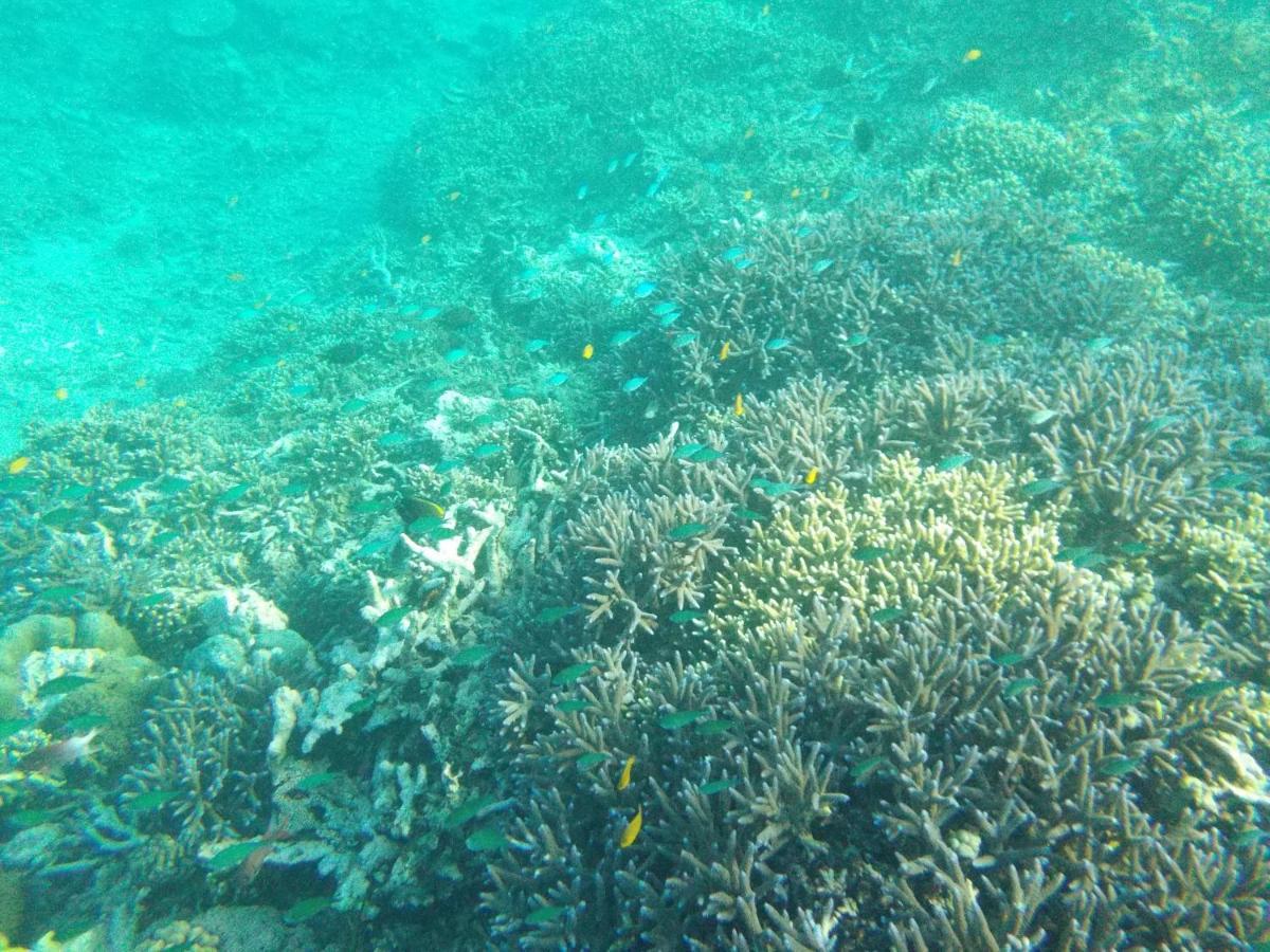 II Bungalow Gili Meno Buitenkant foto