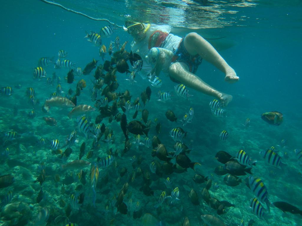 II Bungalow Gili Meno Buitenkant foto